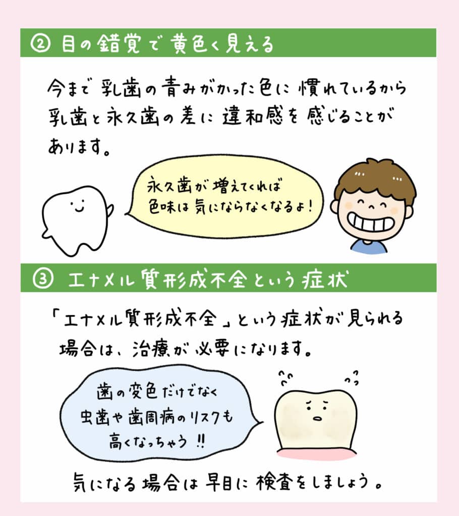 子どもの生えてきた永久歯が_3_子どもの永久歯と乳歯の比較、黄色に見える理由を解説するイラスト、適切な対策を示す図と解説