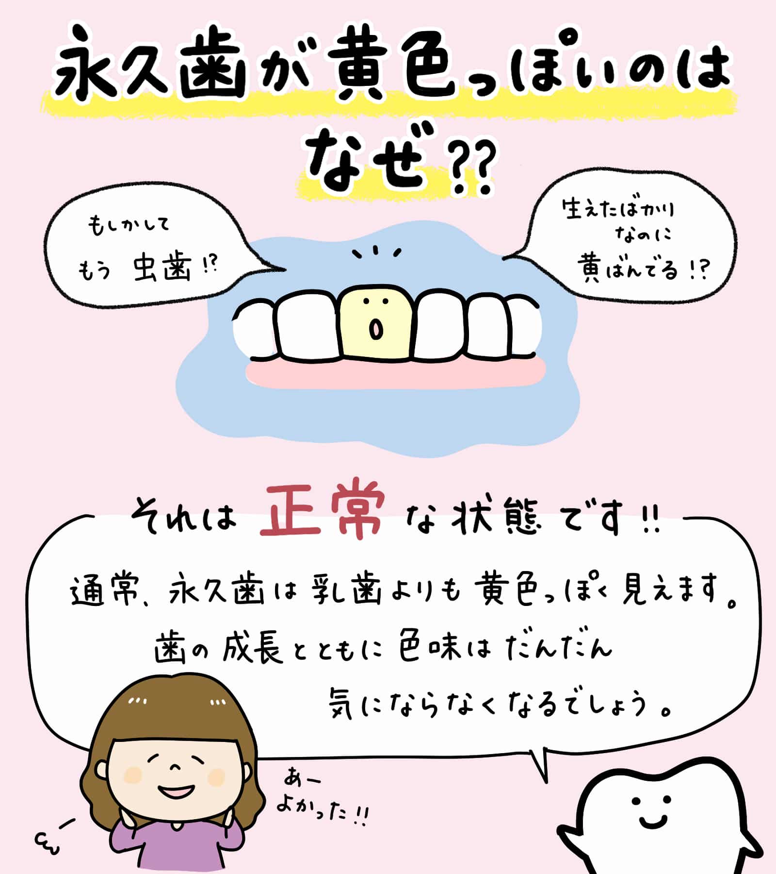 子どもの生えてきた永久歯が_1_子どもの永久歯と乳歯の比較、黄色に見える理由を解説するイラスト、適切な対策を示す図と解説