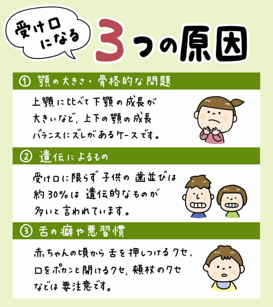 子供の受け口(反対咬合)_3_小児歯科医が子供の反対咬合（受け口）の状態と矯正方法を解説するイラスト