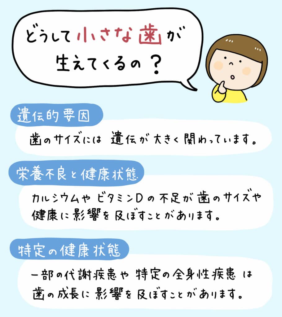 歯が小さいと言われたら_2_子どもの小さい歯である矮小歯についての解説をするイラスト