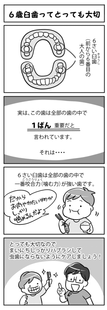 ６歳臼歯ってとっても大切_6歳臼歯の大切さを学ぶ子供の四コマ漫画