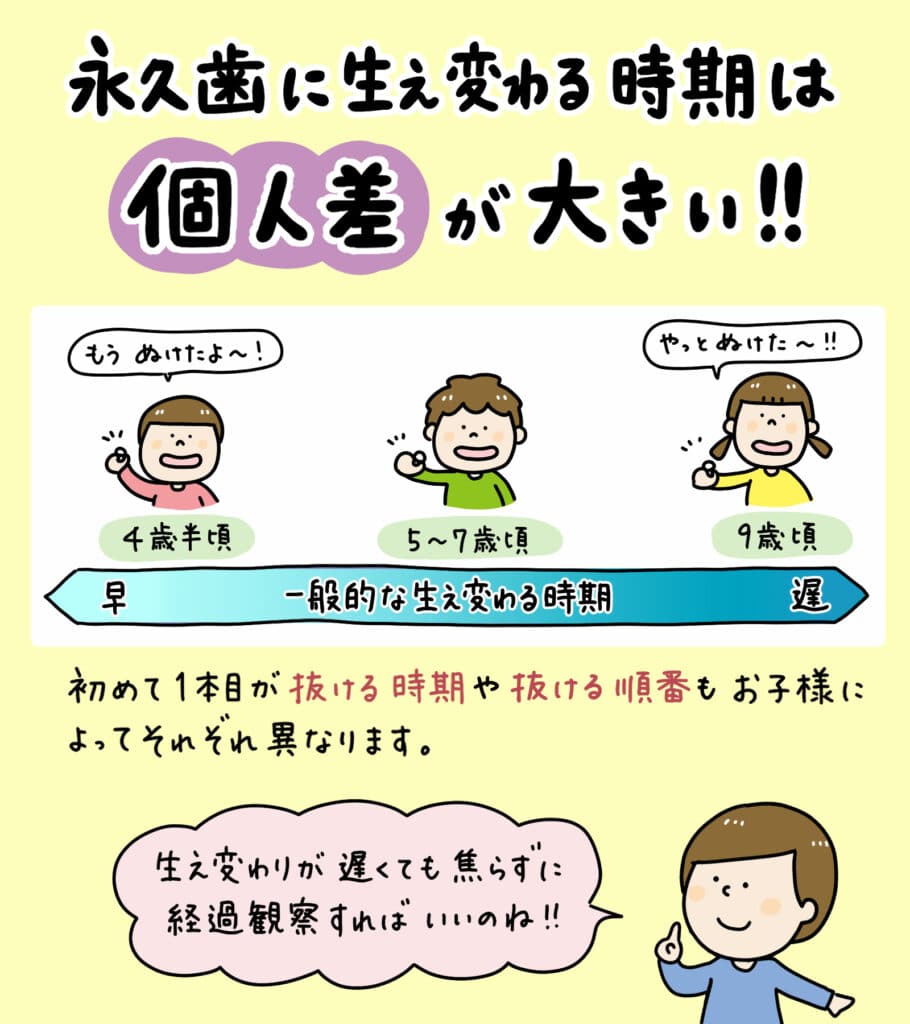 子供の乳歯_歯の生え変わりが遅い_2_歯の生え変わりが遅い理由とメリット、注意点を説明する図解イラスト。小児歯科医によるアドバイス付き。