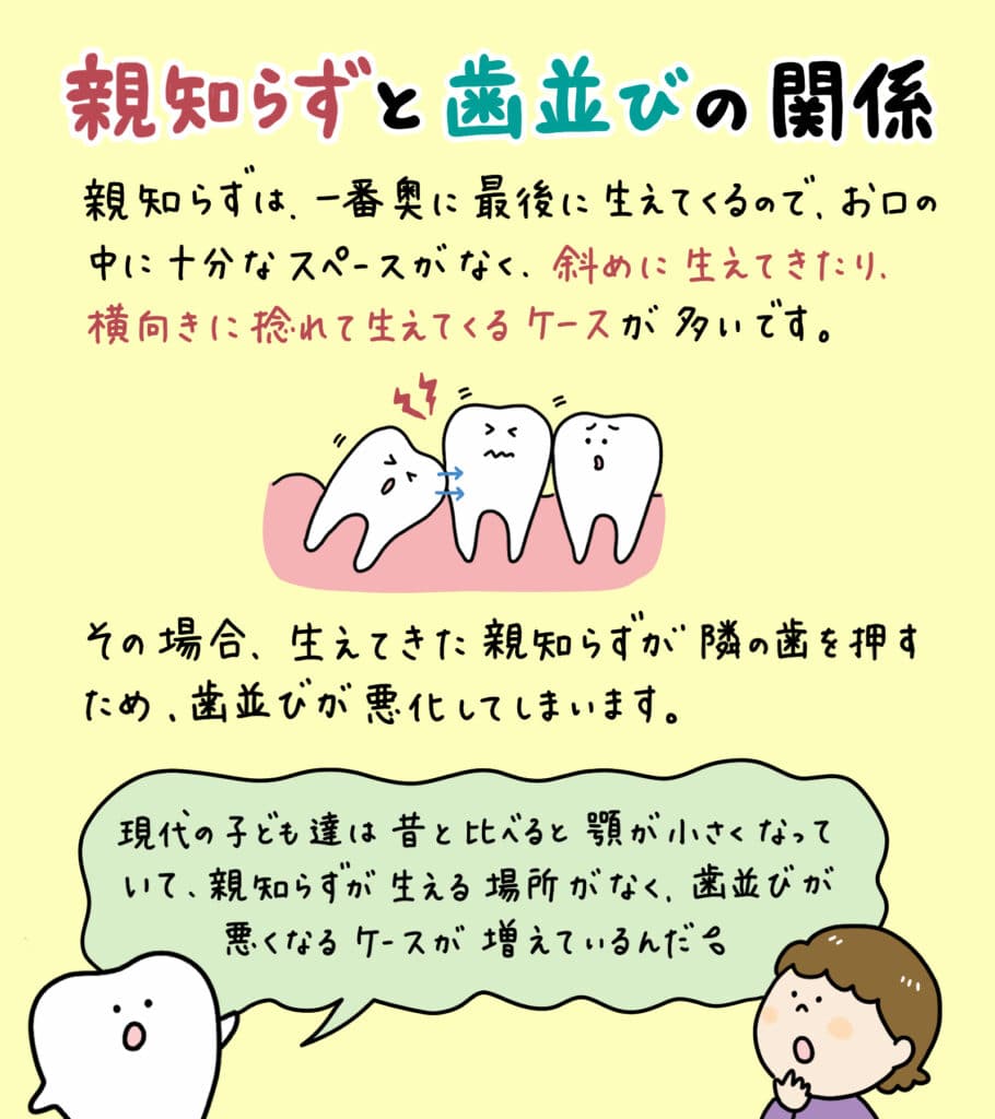 親知らずと歯並びの関係_5_親知らずが子どもの歯並びに影響するかどうか？についての解説イラスト