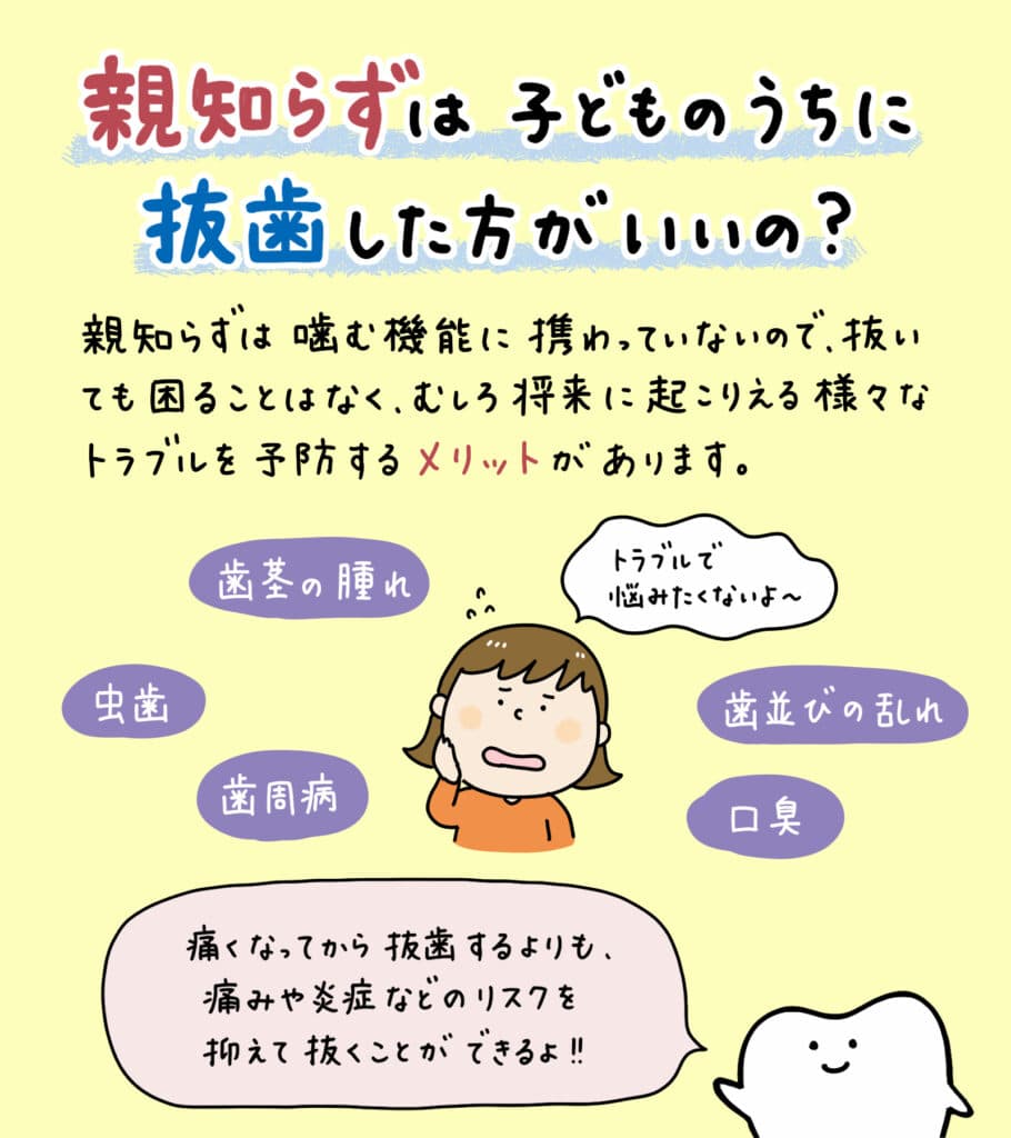親知らずと歯並びの関係_10_親知らずが子どもの歯並びに影響するかどうか？についての解説イラスト