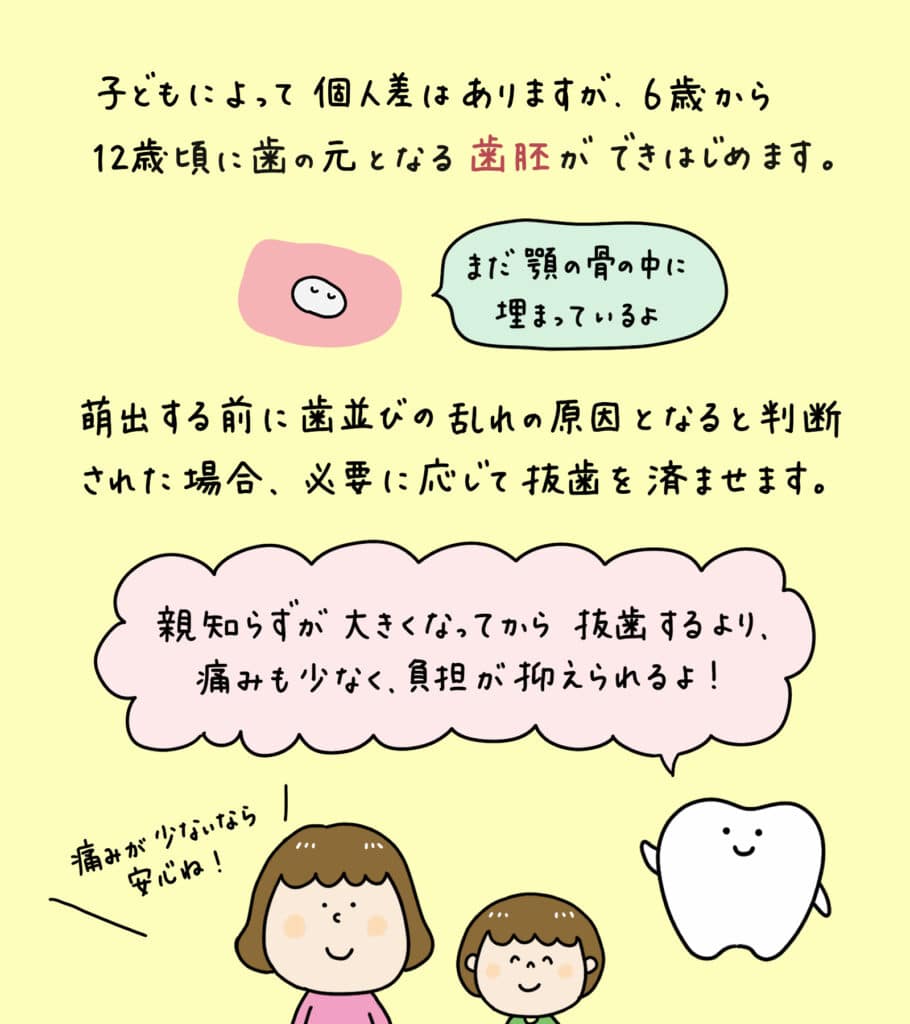 親知らずと歯並びの関係_16_親知らずが子どもの歯並びに影響するかどうか？についての解説イラスト