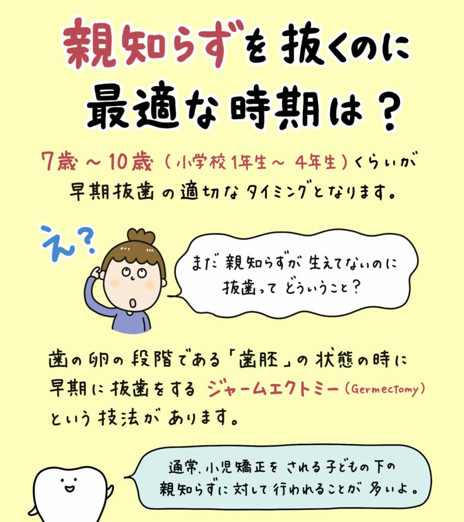 親知らずと歯並びの関係_15_親知らずが子どもの歯並びに影響するかどうか？についての解説イラスト
